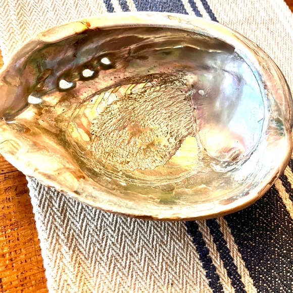 Natural Authentic Large Abalone Sea Shell - Picture 5 of 6